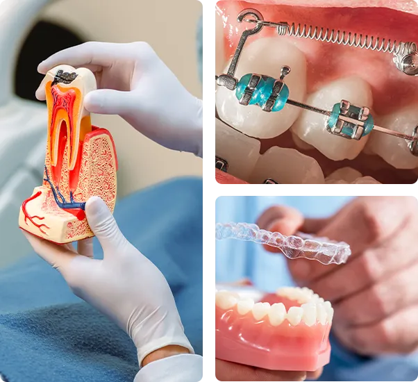 Dentist examining teeth patients in clinic for better dental health and a bright smile.